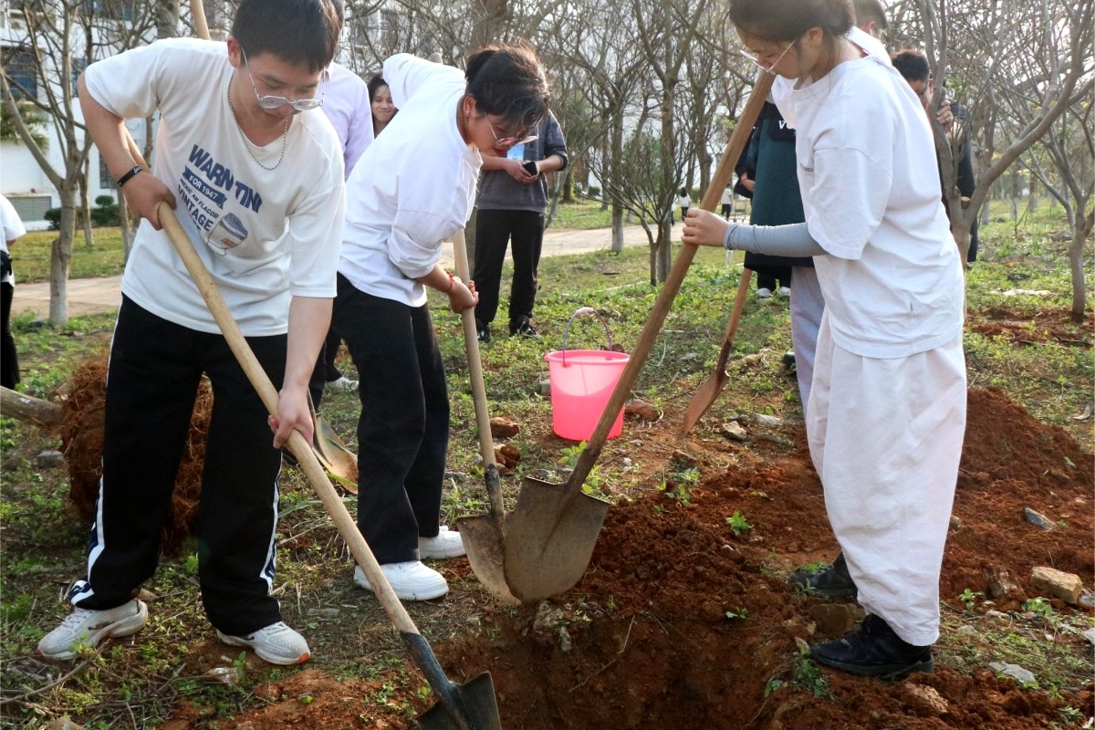 Latest company blogs about Honhai Technology Afforestation: Protecting the Earth's Green Lungs