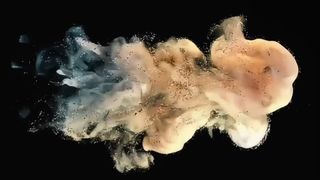 Toshiba Developer Powder D5070 500g for e-STUDIO